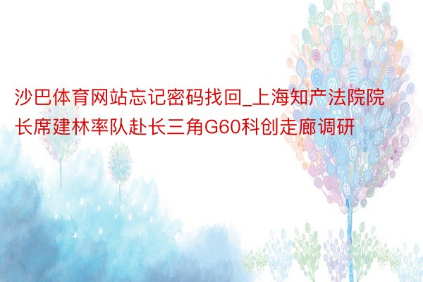 沙巴体育网站忘记密码找回_上海知产法院院长席建林率队赴长三角G60科创走廊调研