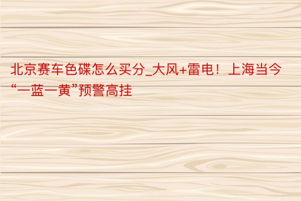 北京赛车色碟怎么买分_大风+雷电!上海当今“一蓝一黄”预警高挂
